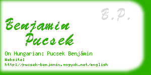 benjamin pucsek business card
