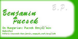benjamin pucsek business card